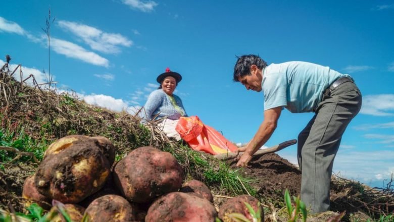 Población ocupada en el sector rural aumentó en 89.000 personas en septiembre, destaca ministra de Agricultura