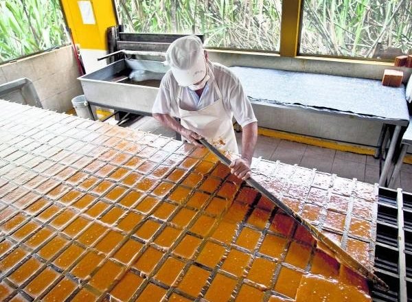 I​nformalidad laboral se ubica en el 55,2% a nivel nacional