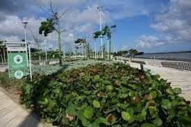 Barranquilla recibe sello verde por su compromiso con el cambio climático