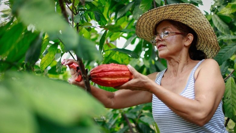 Economía colombiana creció 2,94% en octubre