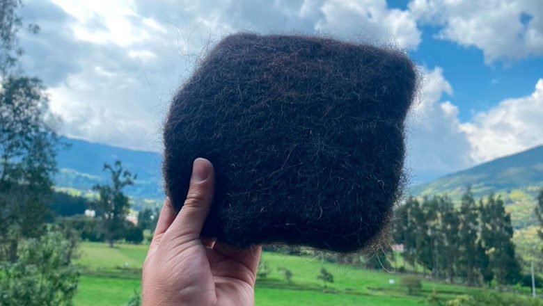 Ecolocos, la esponja de cabello humano para recoger residuos de hidrocarburos, ganó concurso de innovación de Ecopetrol