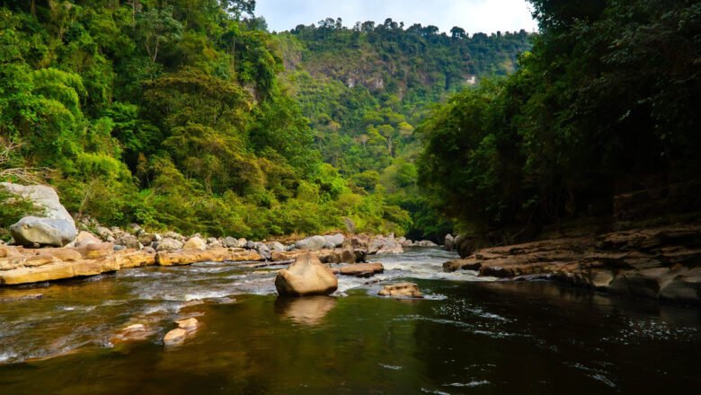 Colombia es uno de los mejores destinos para visitar en 2025, según medios internacionales