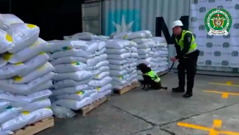 Operación policial permitió incautar 8,2 toneladas de cocaína en puerto de Buenaventura
