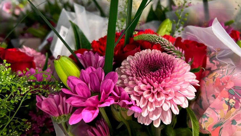 Más de 65 mil toneladas de flores colombianas adornan la celebración de San Valentín en Estados Unidos