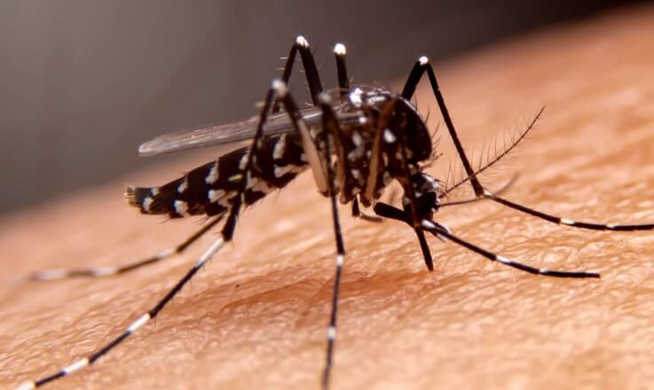 Debido al aumento de casos de dengue en el Cesar, indagan las autoridades por las medidas de contingenci