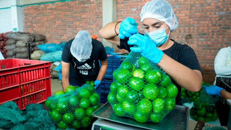 Producción agropecuaria, financiamiento, abastecimiento de alimentos y prevenir el despojo, medidas clave del sector agro en el Catatumbo