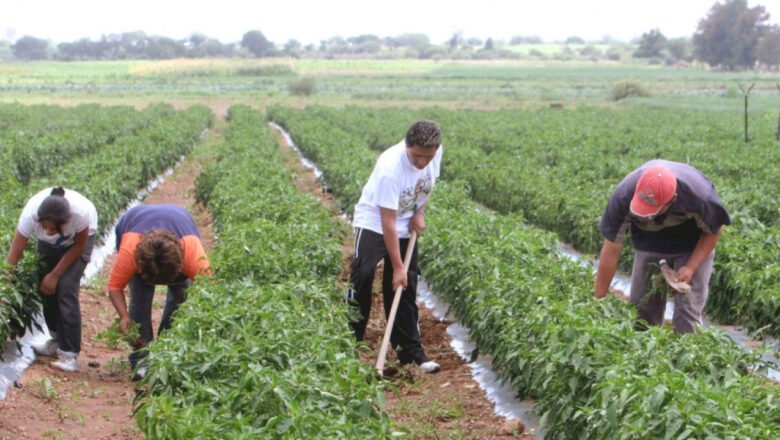 Gobierno subsidiará hasta $10 mil millones en créditos agrarios para impulsar creación de sistemas de riego y drenaje