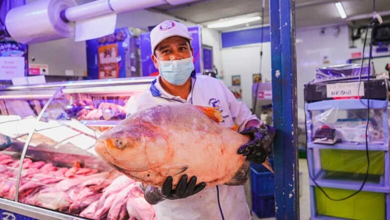 Recomendaciones para consumo seguro de pescado y mariscos en Semana Santa