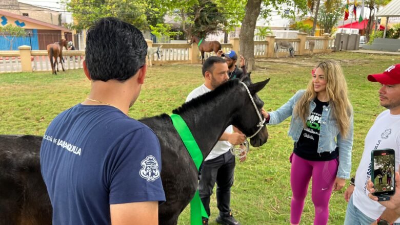 Con segunda jornada de adopción de équidos, Barranquilla fortalece procesos de bienestar animal