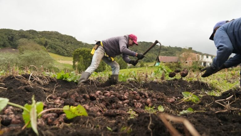 Gobierno ha entregado 562 mil hectáreas a trabajadores del campo para la Reforma Agraria