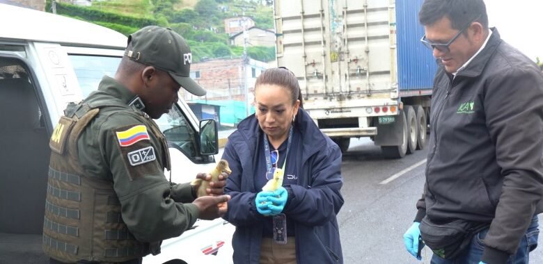 DIAN inició plan piloto de Aduanas Verdes con el control de mercancías de fauna y flora