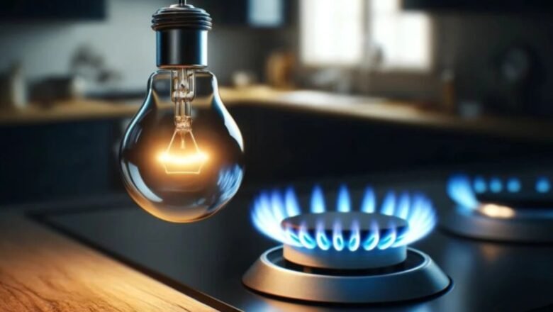 Mesa para abordar la sostenibilidad y cobertura de los servicios de energía eléctrica y gas