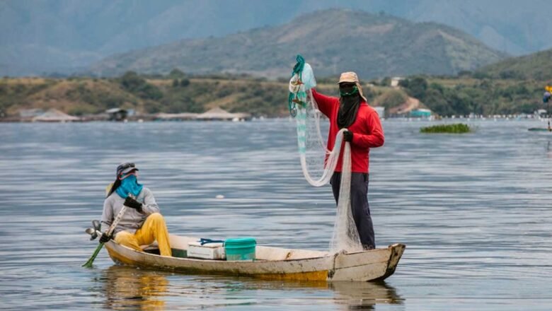 Atlántico fortalece la pesca artesanal con nuevo repoblamiento de alevinos en La Peña