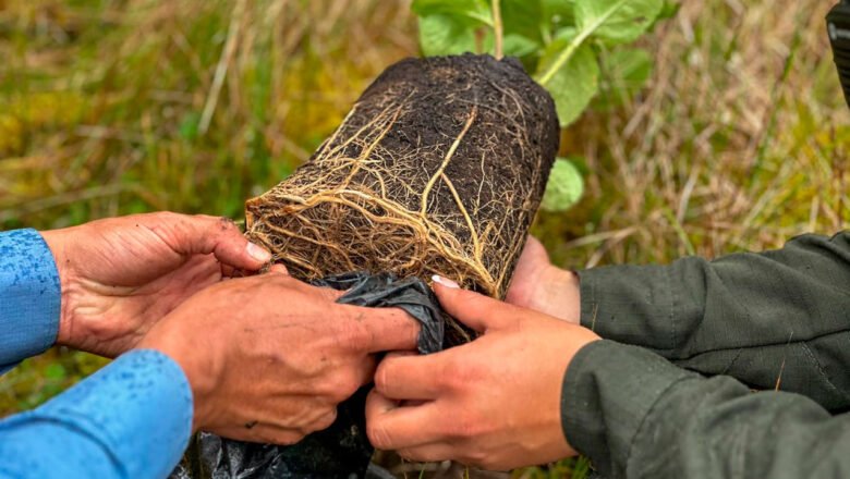 El 17 de junio Colombia será epicentro del Día de Lucha contra la Desertificación y la Sequía