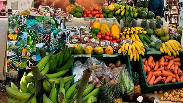 En mayo hubo el más alto ingreso de alimentos a las centrales mayoristas de los últimos 12 años: 654.252 toneladas