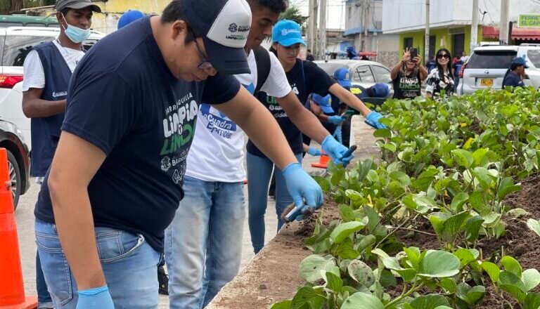 Con sostenibilidad urbana, una vez más, Barranquilla es reconocida como Ciudad Árbol del Mundo