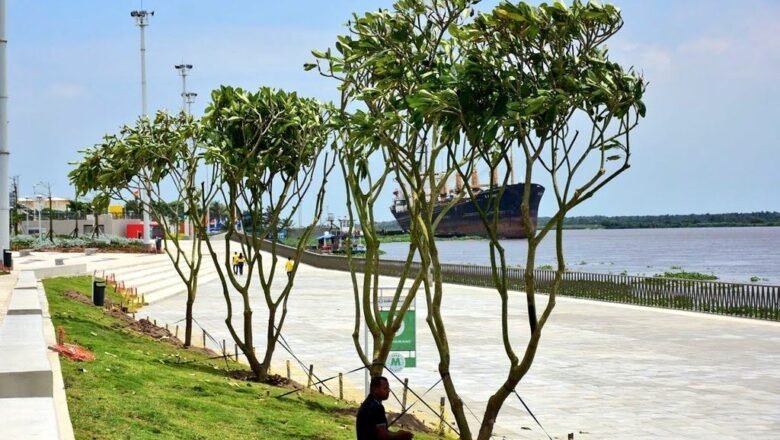 Barranquilla le apuesta a más árboles y zonas verdes para enfrentar la desertificación y la sequía