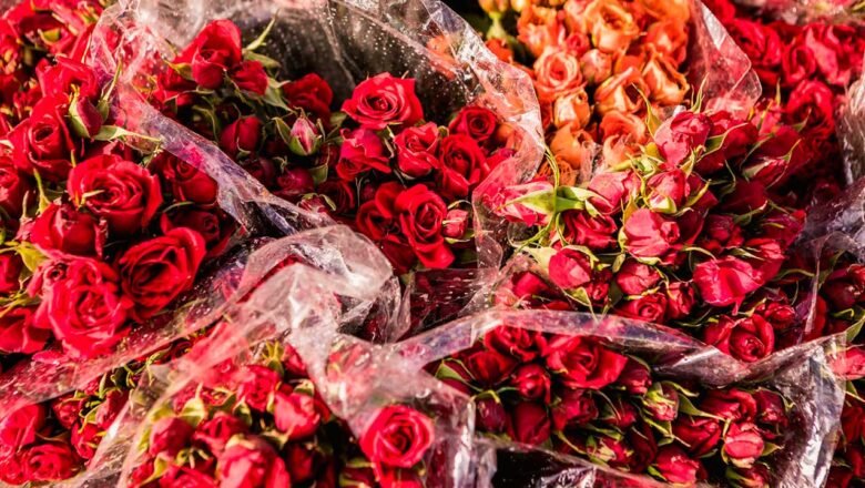 Gobierno electo prioriza apoyo a la floricultura por nuevos aranceles de Estados Unidos