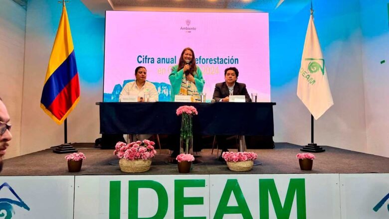 Colombia consolidó en 2024 la segunda cifra de deforestación más baja de la historia: 113.608 hectáreas