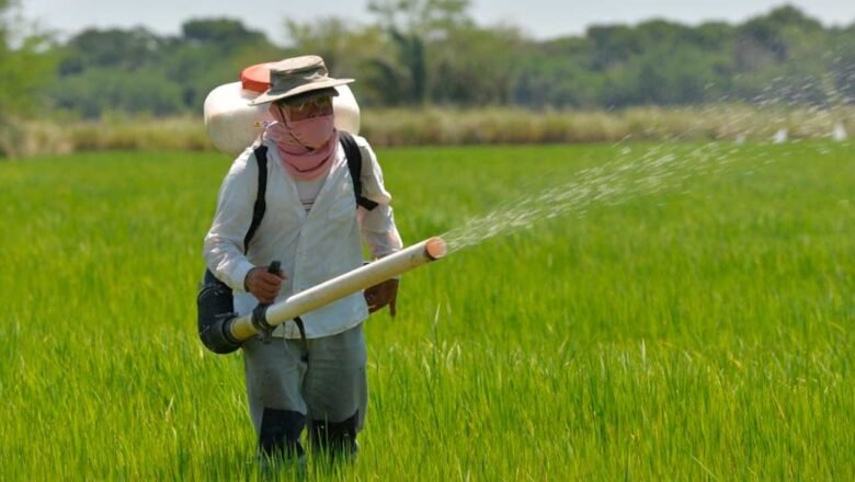 Vía libre da la SIC al acuerdo entre productores e industriales para estabilización del sector arrocero