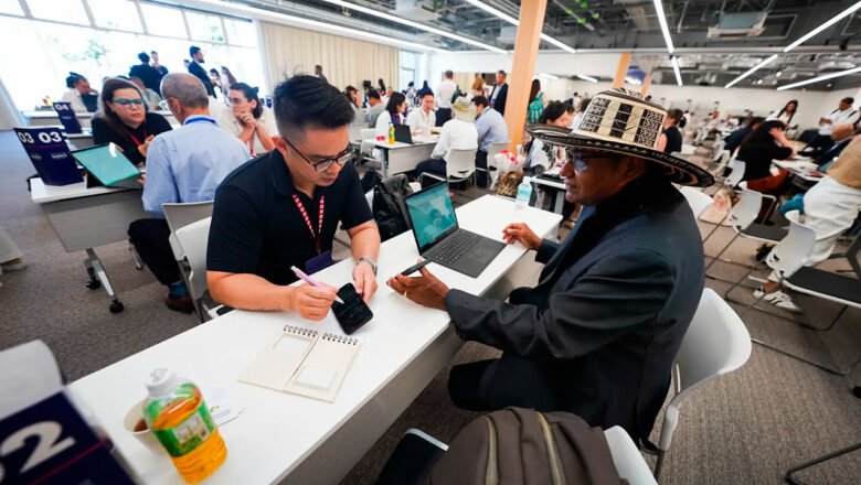 Estudio revela que las microempresas que aplican NIF tienen mayor acceso a crédito y más empleo formal