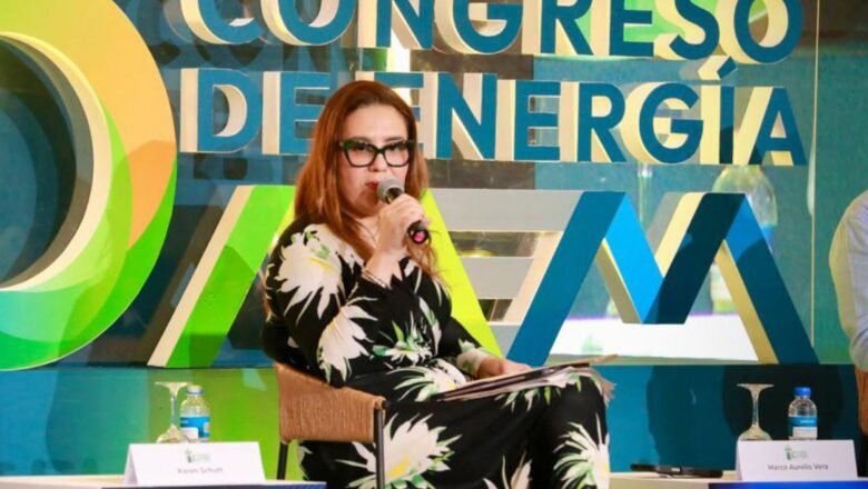 Anticipan subsidios a empresas eléctricas con apoyo de la FDN
