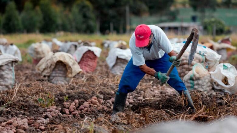 China abre puertas al agro colombiano en VIII Exposición Internacional de Importaciones 2025