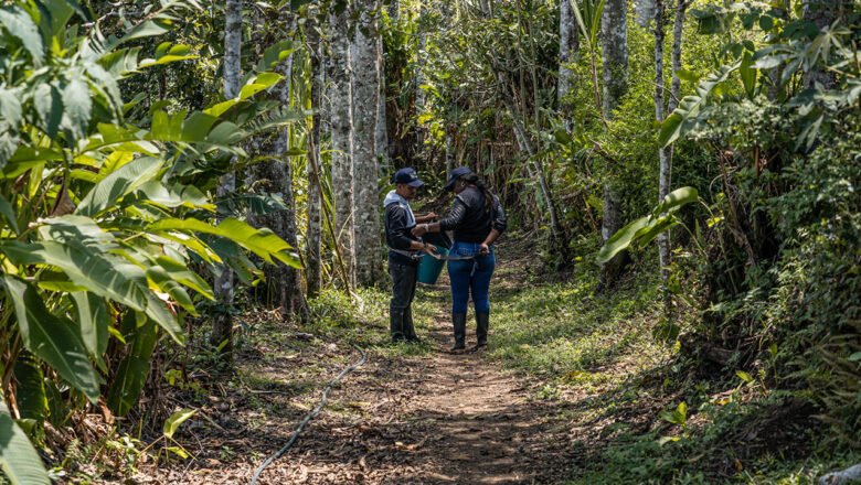 Agencia para la Reincorporación ha invertido más de $12.600 millones para robustecer proyectos productivos de firmantes de paz
