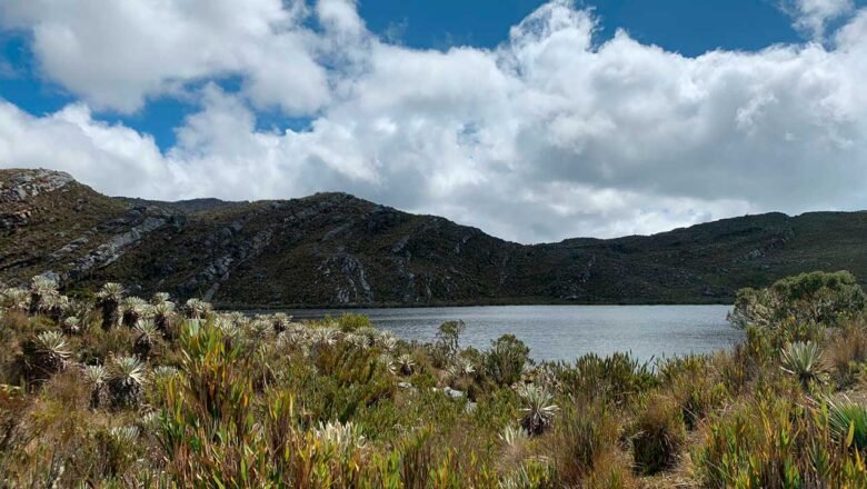 En la IV Cumbre Celac–UE, Colombia presentará la Plataforma País para impulsar el desarrollo sostenible en la región
