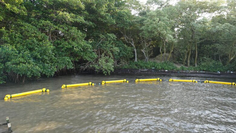 Alcaldía de Barranquilla implementa retenedores flotantes para proteger el manglar de la ciénaga de Mallorquín
