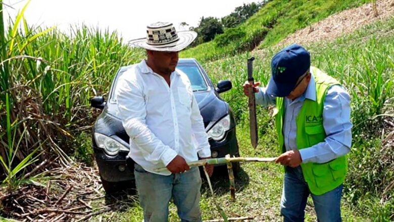 Reunión entre Gobierno y banca para revisar financiamiento al sector agroindustrial propone Petro