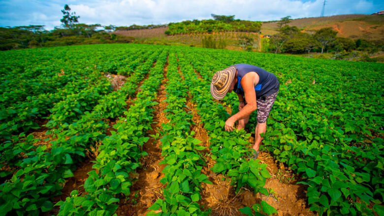 Campo colombiano generó 4,8 millones de empleos en 2025, el mejor año desde 2021