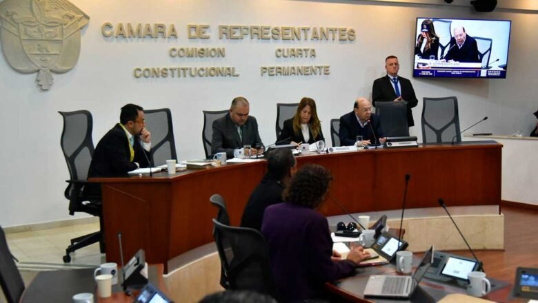 ‘No es posible que siete personas decidan el futuro económico del país’: ministro de Hacienda ante Comisión IV de Cámara