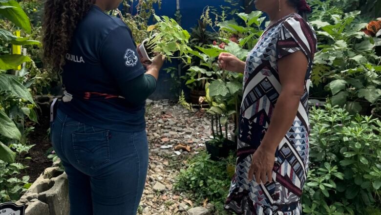 Alcaldía de Barranquilla le apuesta a convertir residuos vegetales del hogar en abono orgánico