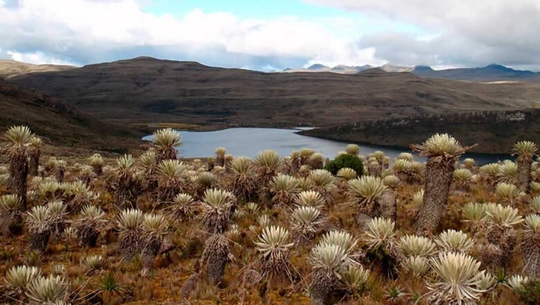Protección a páramo más grande del mundo junto a las comunidades anuncia Gobierno