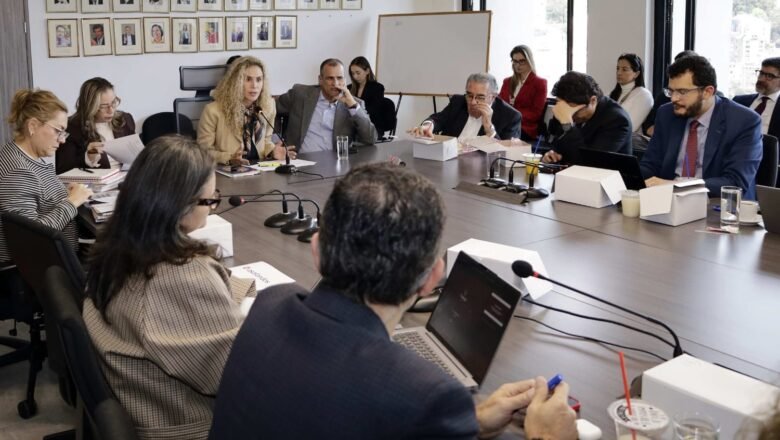 MinTrabajo coordina acciones técnicas para la transición del sistema de protección social